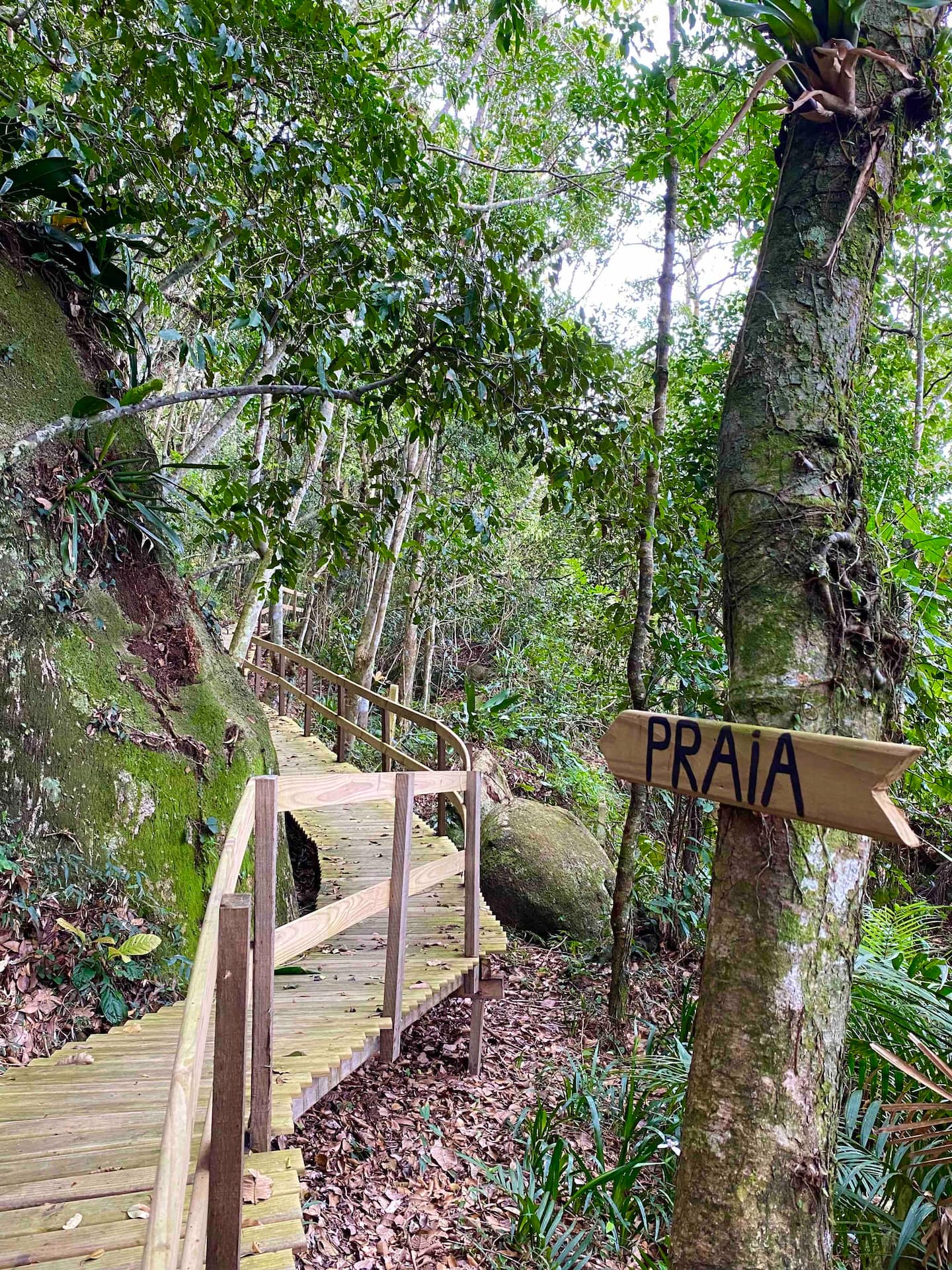 Passarela de madeira na mata com placa indicando a praia